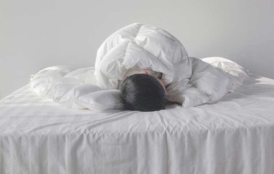 Heat-Cycle95%白鹅绒恒温被