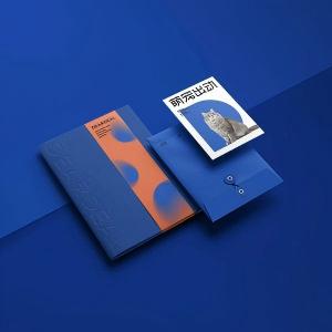 1.&nbsp;品牌视觉系统设计