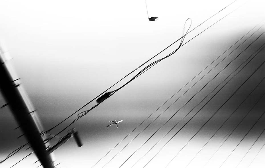 《人类句法》摄影作品